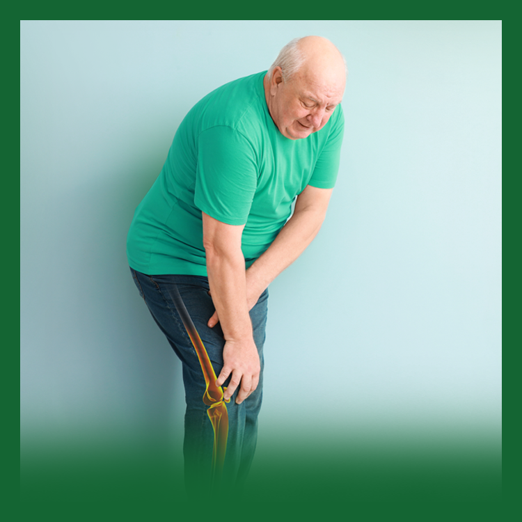 Bone & Joint - Healthycare in BD